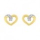 BOUCLES D'OREILLES PLAQUE OR