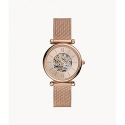 MONTRE FOSSIL