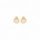 BOUCLES D'OREILLES PLAQUE OR